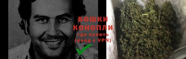 гидра Бородино