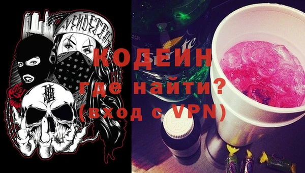 молекула духа Богданович