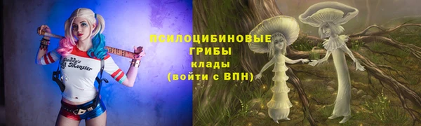 гидра Бородино