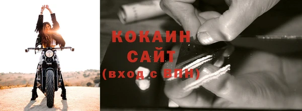 молекула духа Богданович