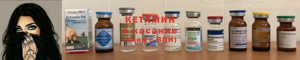молекула духа Богданович