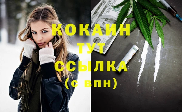 молекула духа Богданович