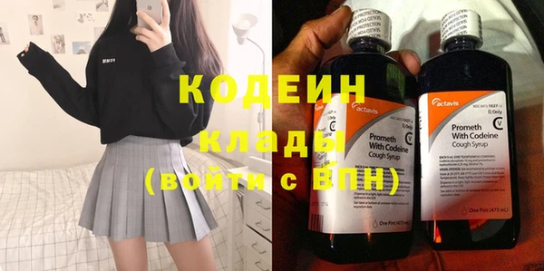 молекула духа Богданович
