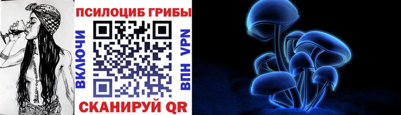 Купить  Петухово  Галлюциногенные грибы Psilocybine cubensis 